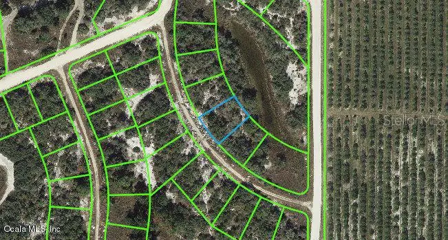 121 Danby DR, Lake Placid, FL 33852