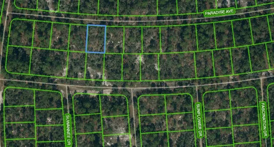 357 PARADISE AVE, Lake Placid, FL 33852