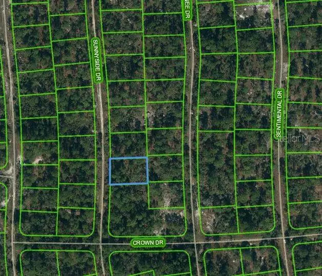 245 SUNNYSIDE DR, Lake Placid, FL 33852