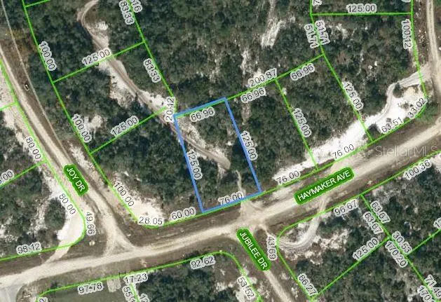 488 HAYMAKER AVE, Lake Placid, FL 33852