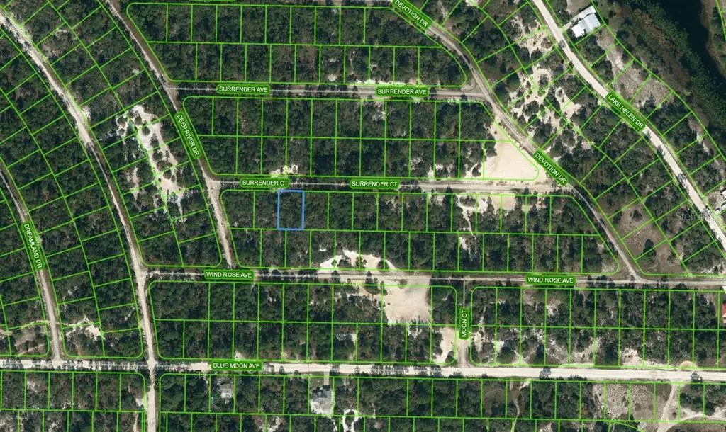 415 SURRENDER CT, Lake Placid, FL 33852