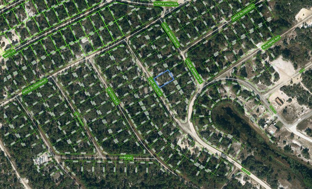 519 LAKE HELEN DR, Lake Placid, FL 33852