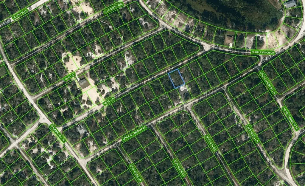 423 TAHITI LN, Lake Placid, FL 33852