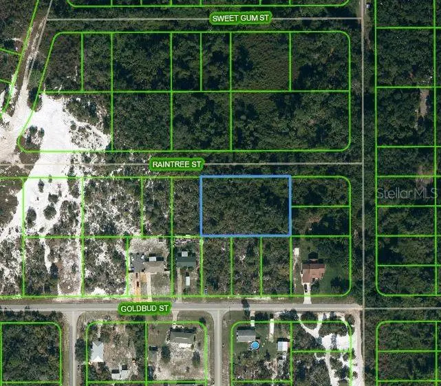 1515 RAINTREE ST, Lake Placid, FL 33852