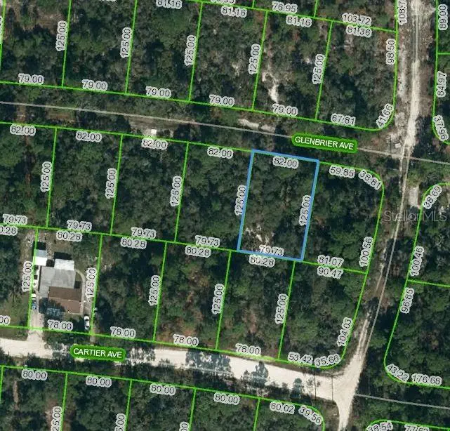 341 GLENBRIER AVE, Lake Placid, FL 33852