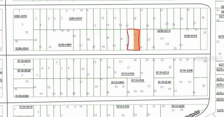 00 BIRCH ST, Interlachen, FL 32148