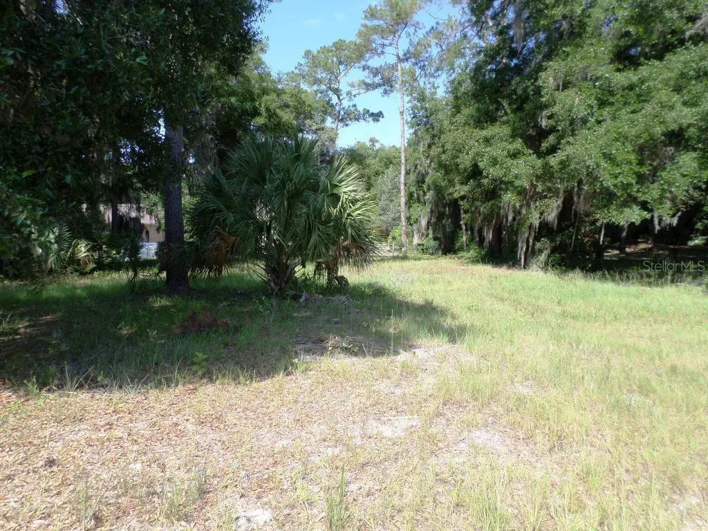 00 BLUE HERON CT, Dunnellon, FL 34432