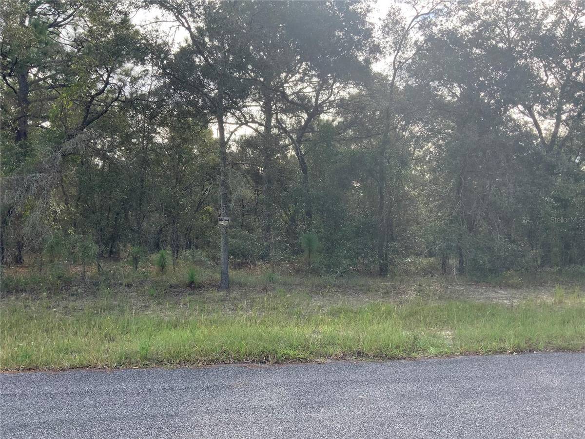 SE 139TH TER LOT 19, Morriston, FL 32668