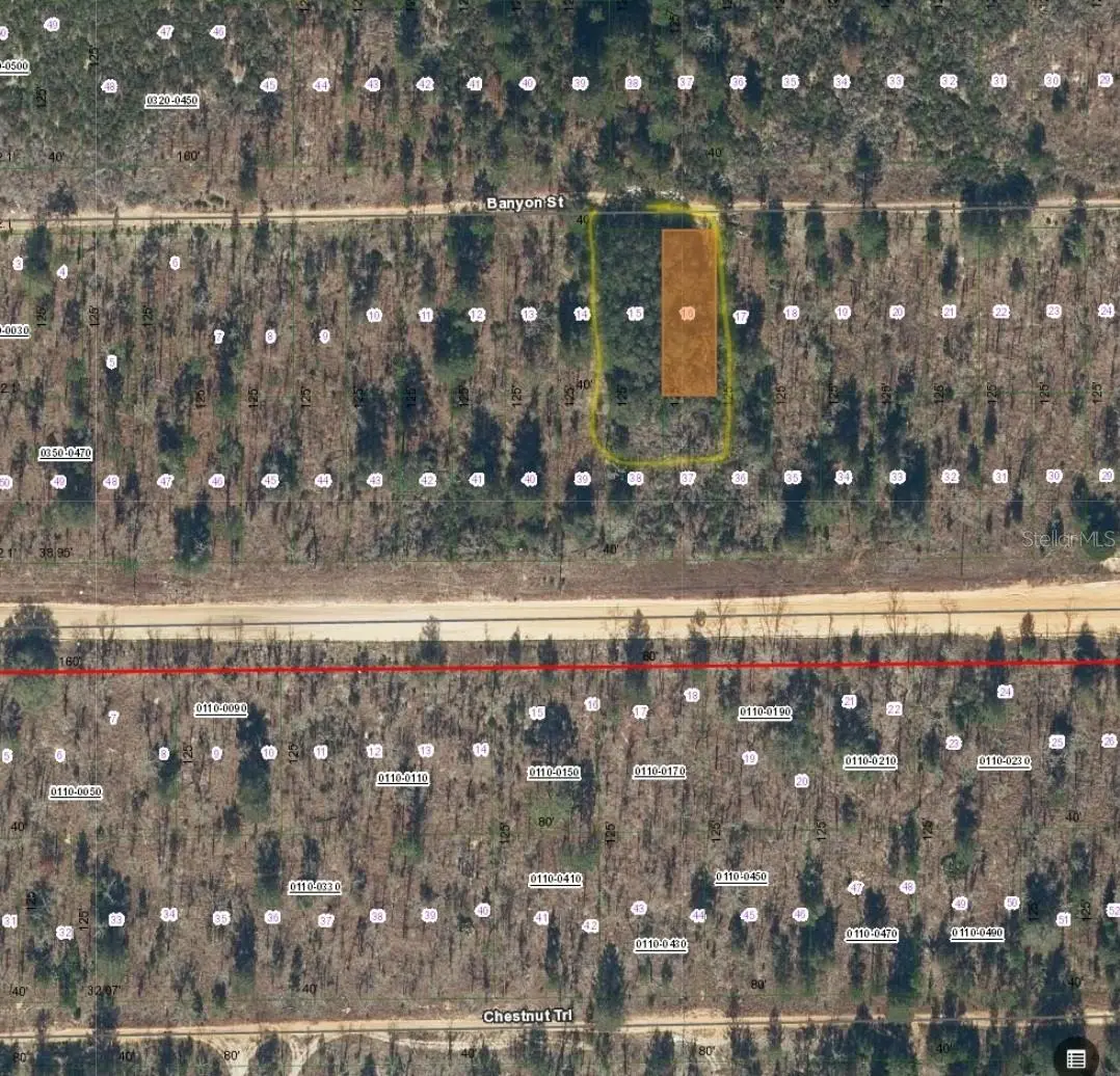 TBD BANYAN STREET, Interlachen, FL 32148