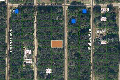 ANNETTE AVE, Interlachen, FL 32148