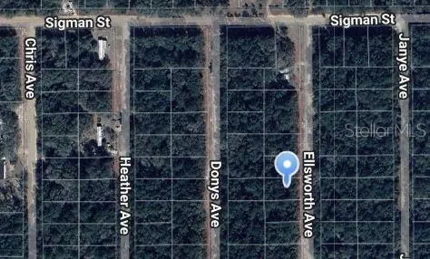 ELLSWORTH AVE, Interlachen, FL 32148