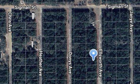 ELLSWORTH AVE, Interlachen, FL 32148