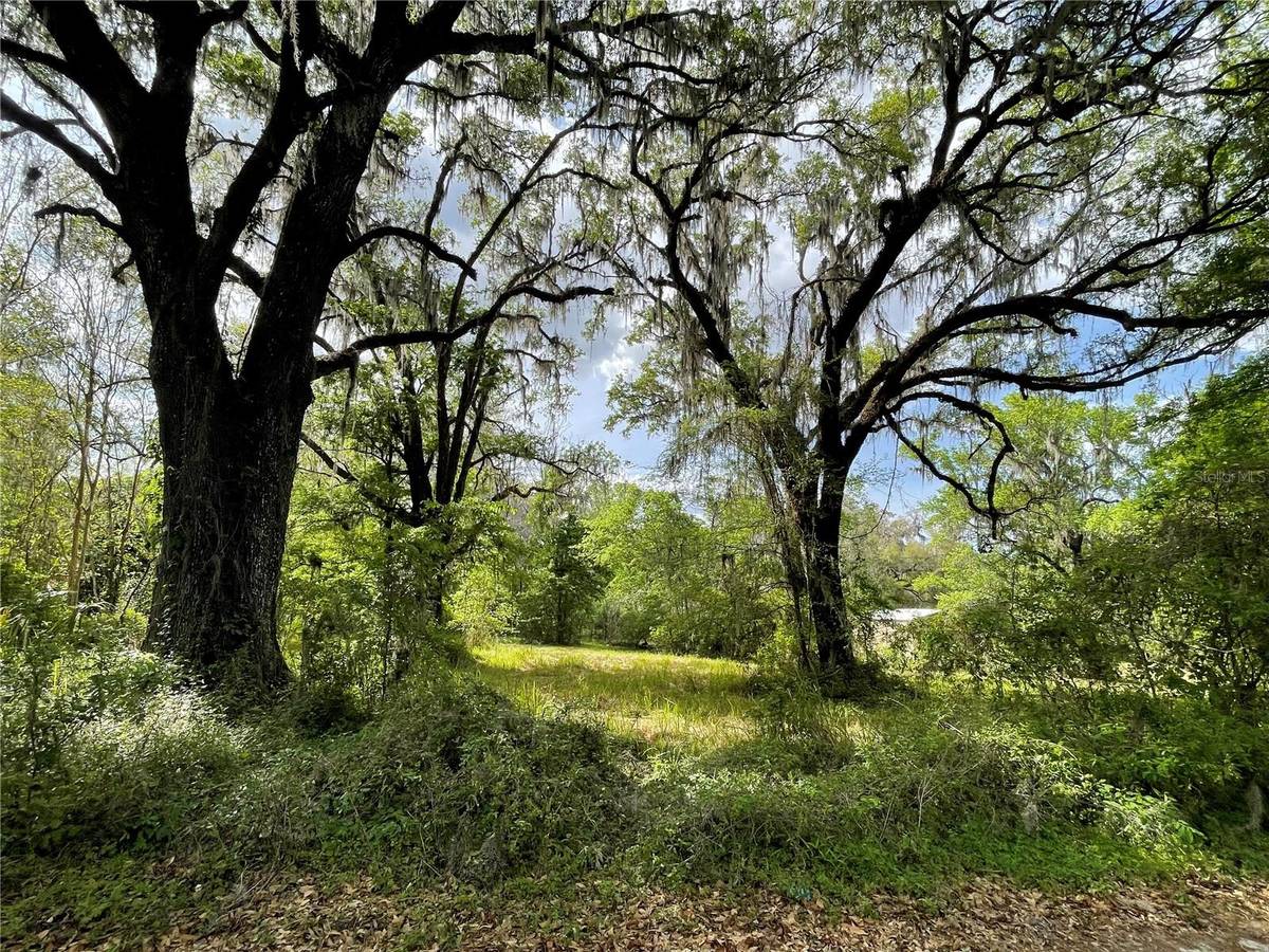 17400 NW 120TH AVE RD, Reddick, FL 32686