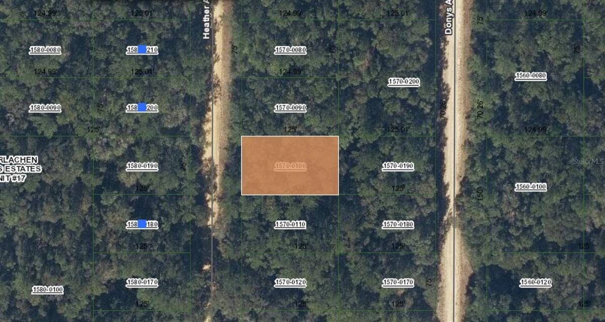 00 HEATHER AVE, Interlachen, FL 32148