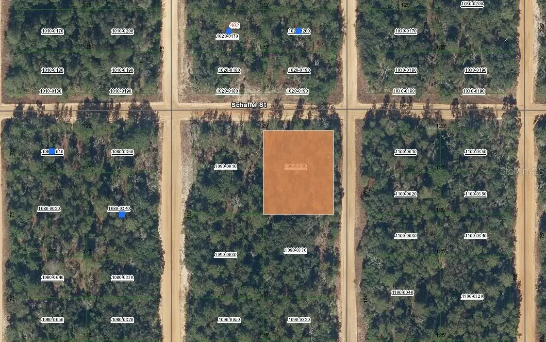 00 SHAPPELL AVE, Interlachen, FL 32148
