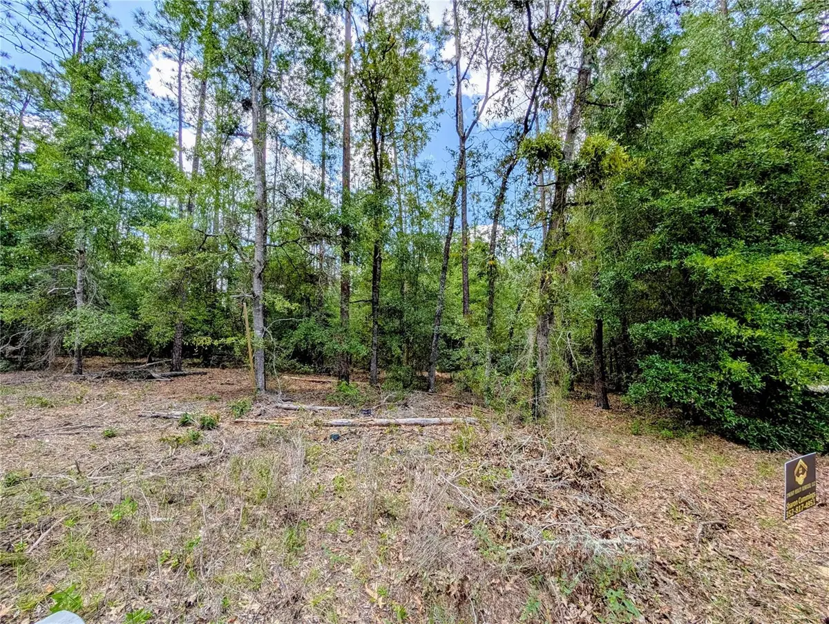 TBD SW 93RD LANE, Dunnellon, FL 34431