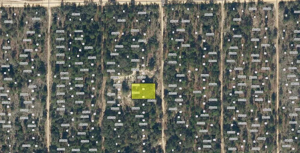 SW 55TH AVE, Interlachen, FL 32148