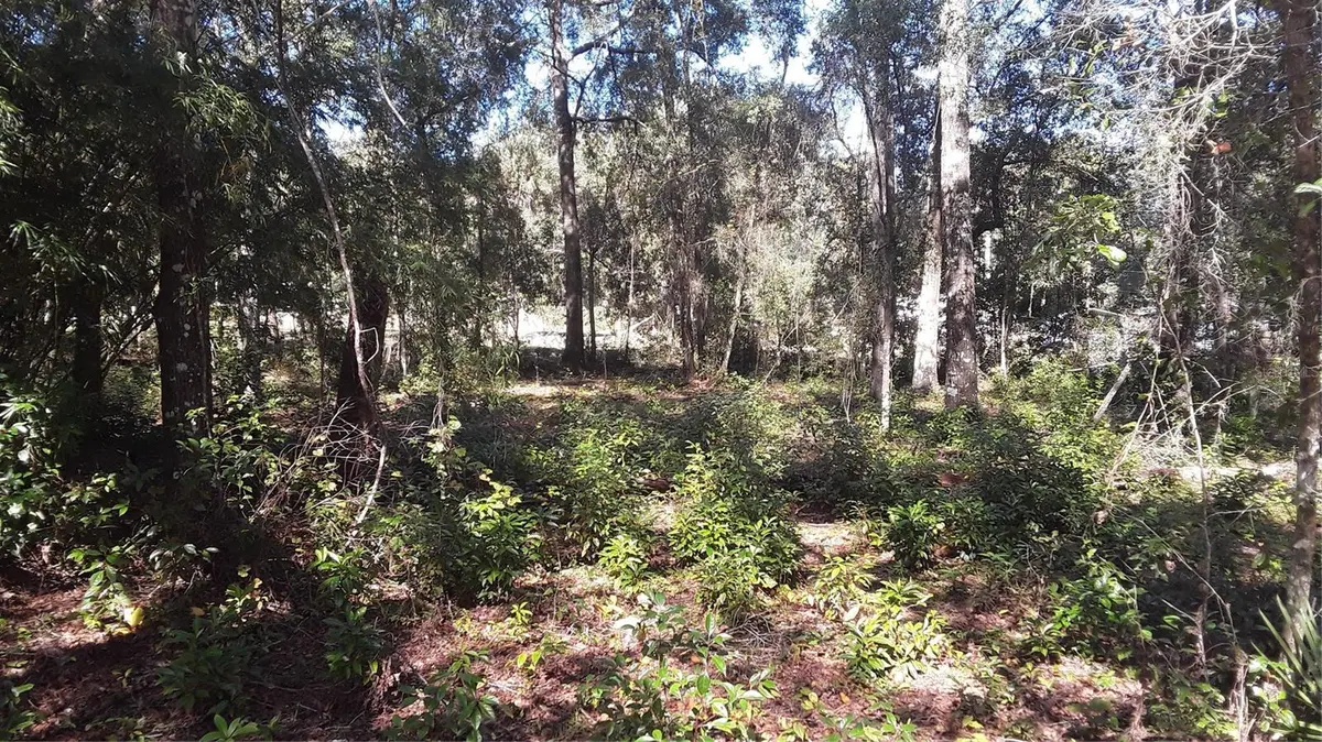 13231 BISSELL DR, Punta Gorda, FL 33955