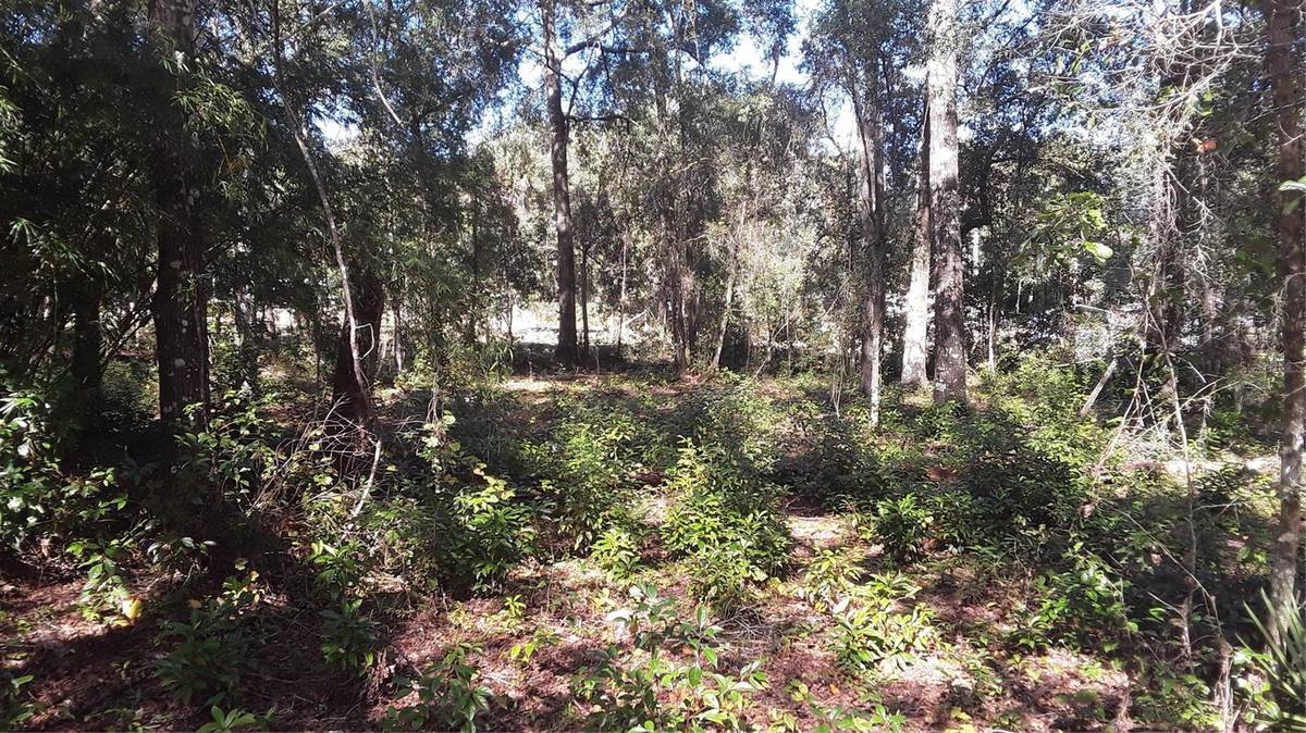 13231 BISSELL DR, Punta Gorda, FL 33955