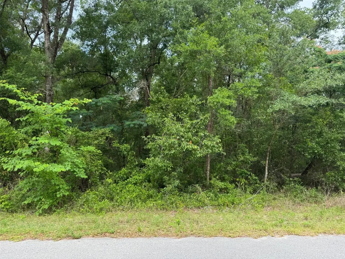 Lot 14 SW CHANEL HEIGHTS CT, Dunnellon, FL 34431