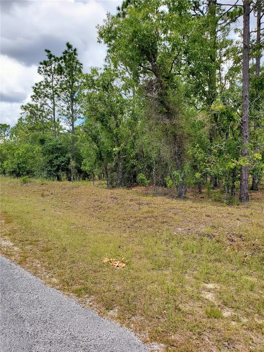 PONY RIDGE DR, Dunnellon, FL 34431