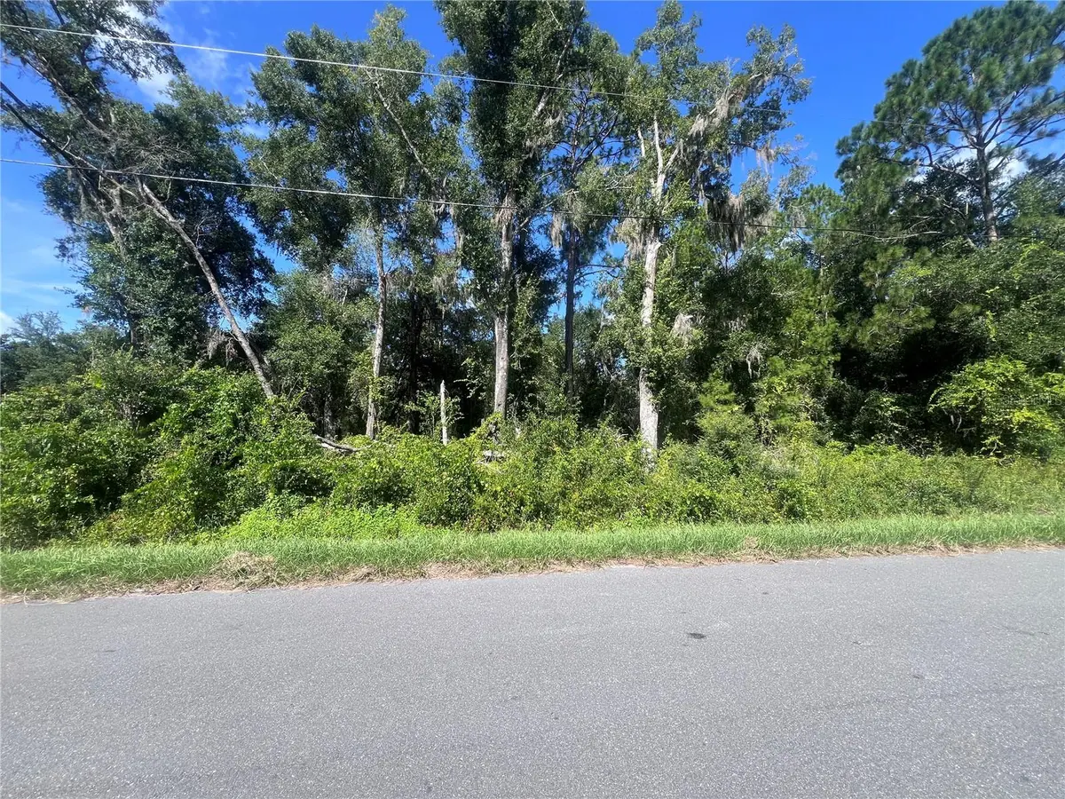 TBD LOCUST COURSE RADIAL LOT 20, Ocala, FL 34472