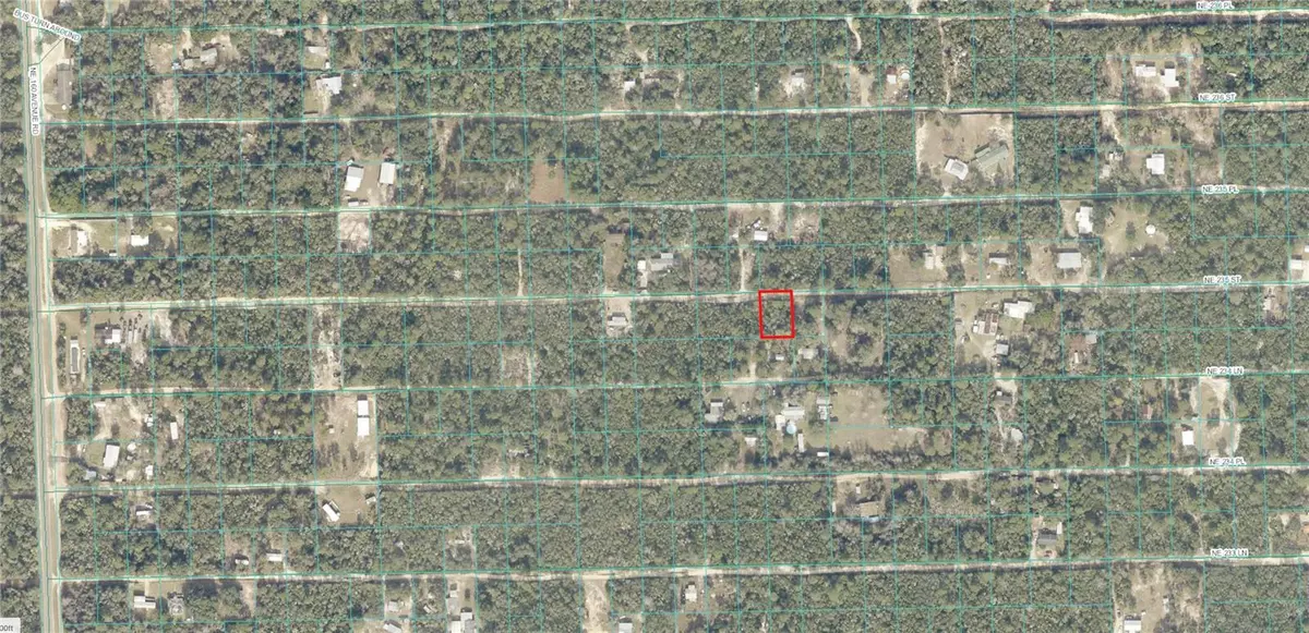 TBD NE 235TH ST, Fort Mc Coy, FL 32134