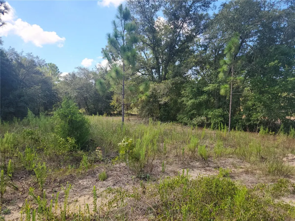 LOT 21 SW RAINBOW LAKES BLVD, Dunnellon, FL 34431