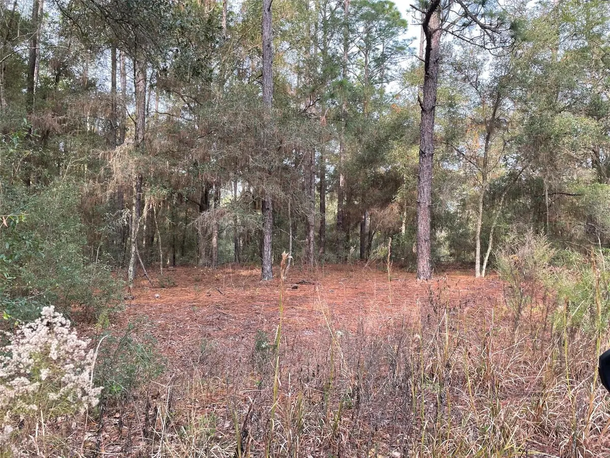 LOT 9 SW 152ND AVE, Ocala, FL 34481