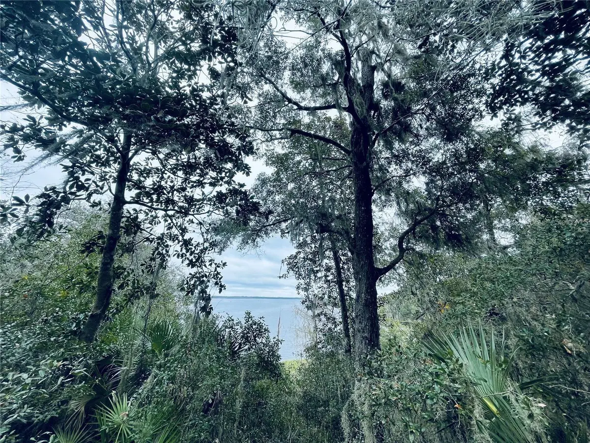 TBD NE 245TH STREET ROAD, Fort Mc Coy, FL 32134