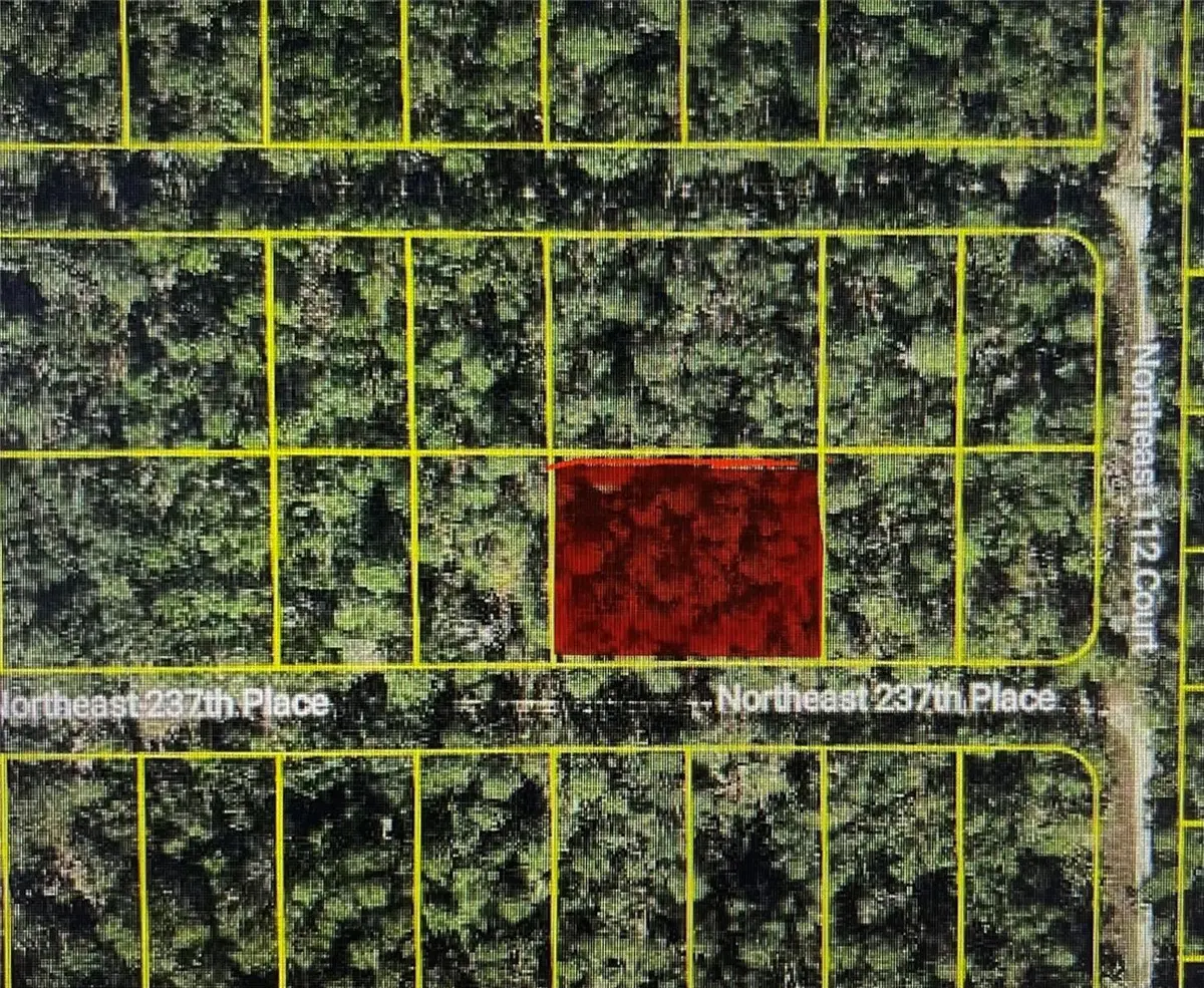 TBD NE 237TH PL, Fort Mc Coy, FL 32134