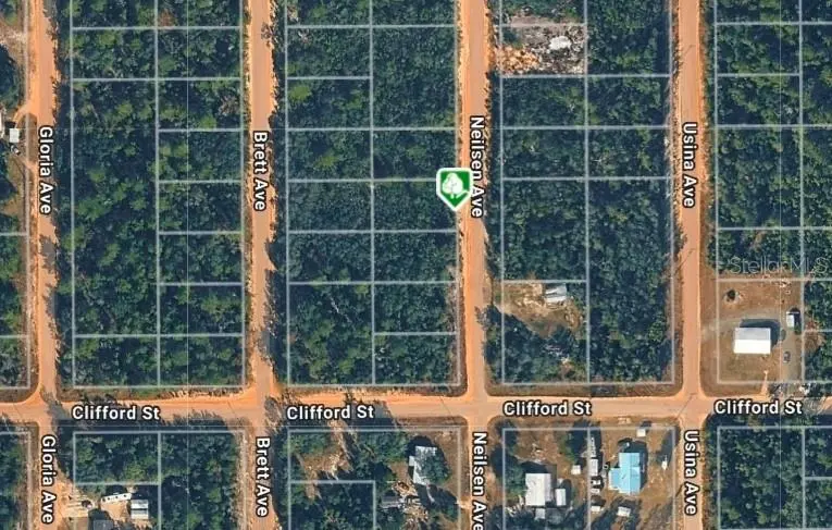 LOT 22 NEILSEN AVE, Interlachen, FL 32148