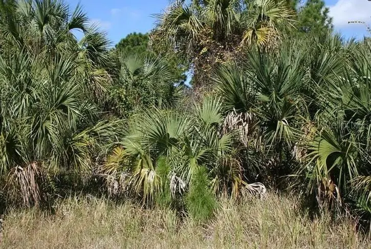 281 FARMINGTON ST SW, Palm Bay, FL 32908