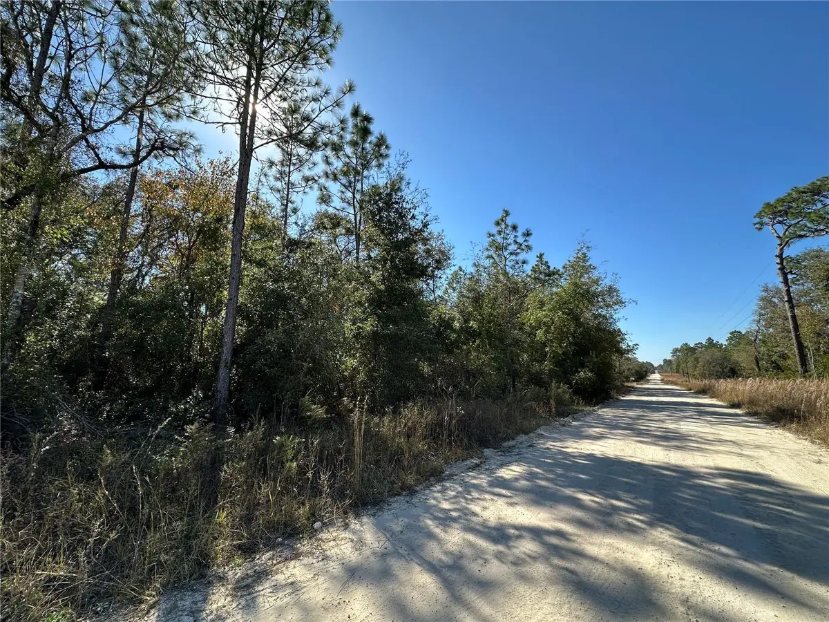 TBD NE 15TH ST, Williston, FL 32696