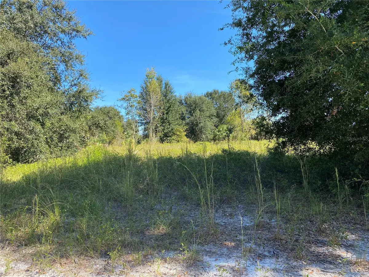 xxxx NE 3RD CT, Citra, FL 32113