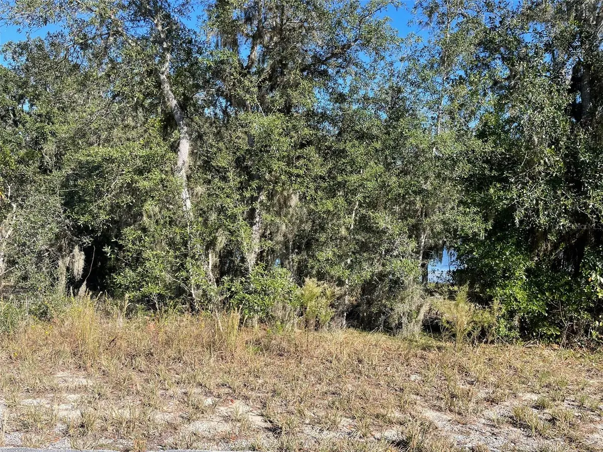 LOTS 444, 445 SW SHOREWOOD DR, Dunnellon, FL 34431