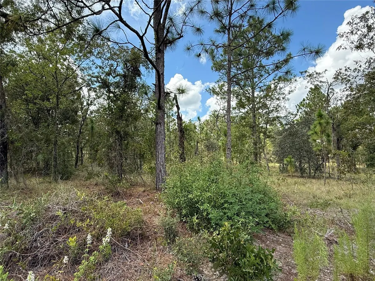 DEER PARK HEIGHTS SW, Dunnellon, FL 34431