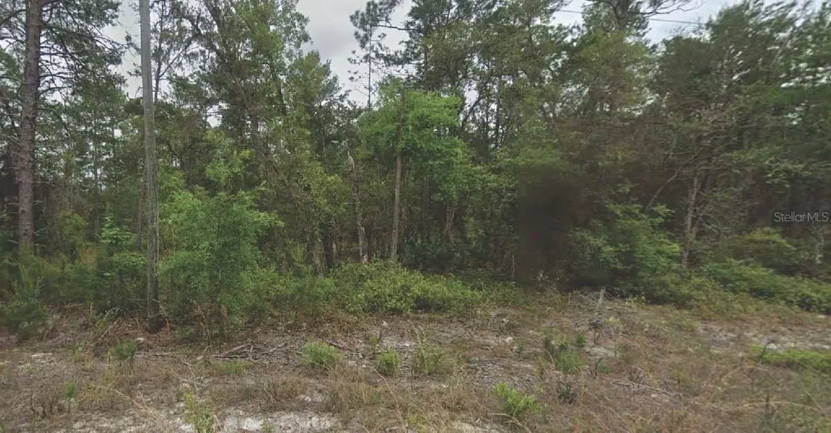 120 NEW YORK AVE, Satsuma, FL 32189