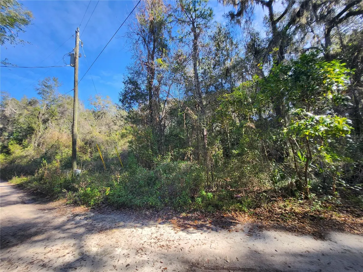 TBD NE 164TH PL, Citra, FL 32113