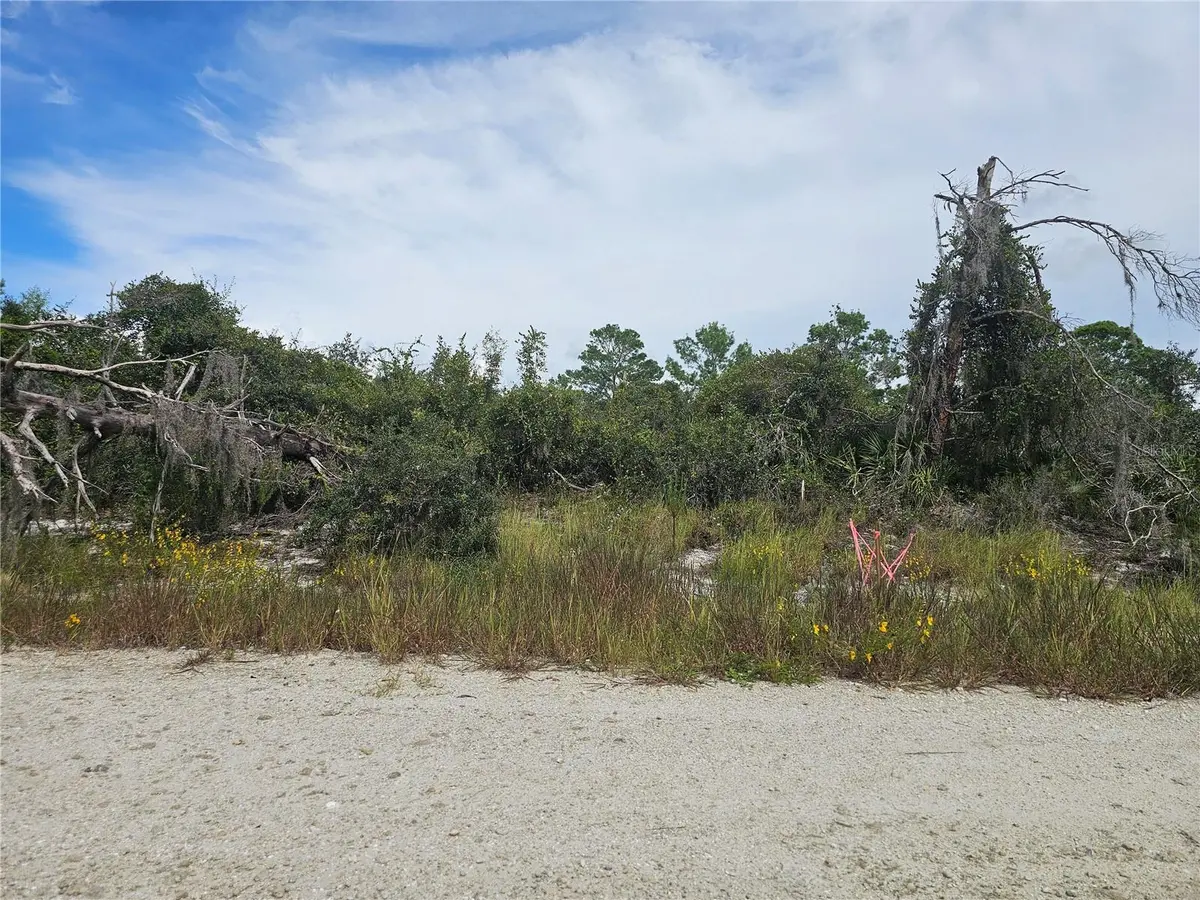 123 PATTON AVE, Lake Placid, FL 33852