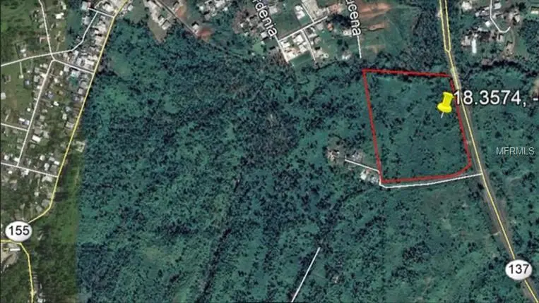 PR137, Morovis, PR 00687