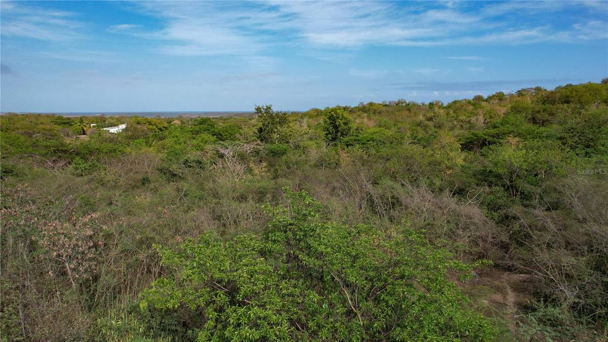 3055 BO. PILON, Vieques, PR 00765
