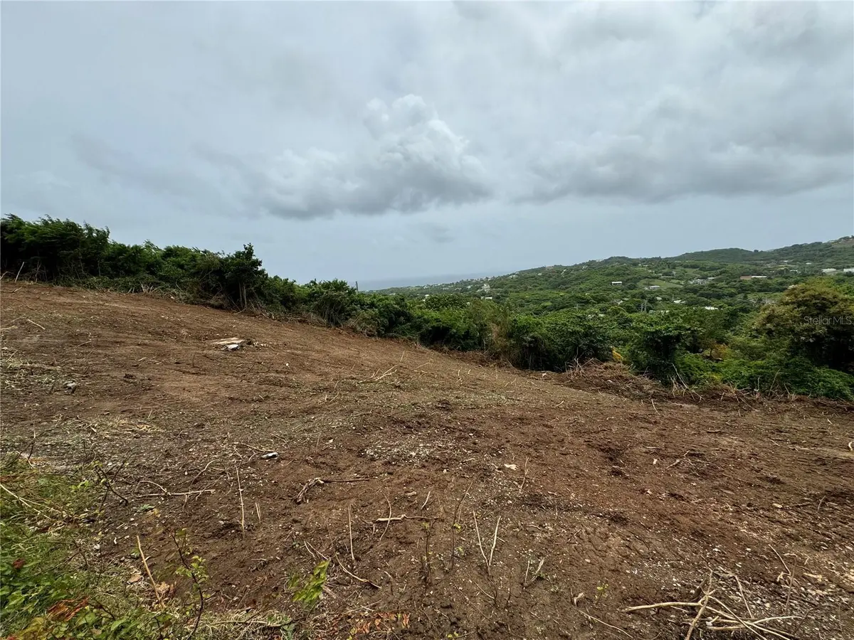COMUNIDAD VILLA BORINQUÉN, Vieques, PR 00765