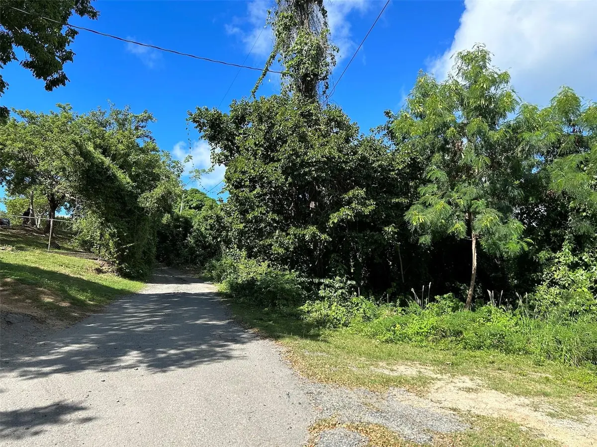 LA LLAVE, Vieques, PR 00765