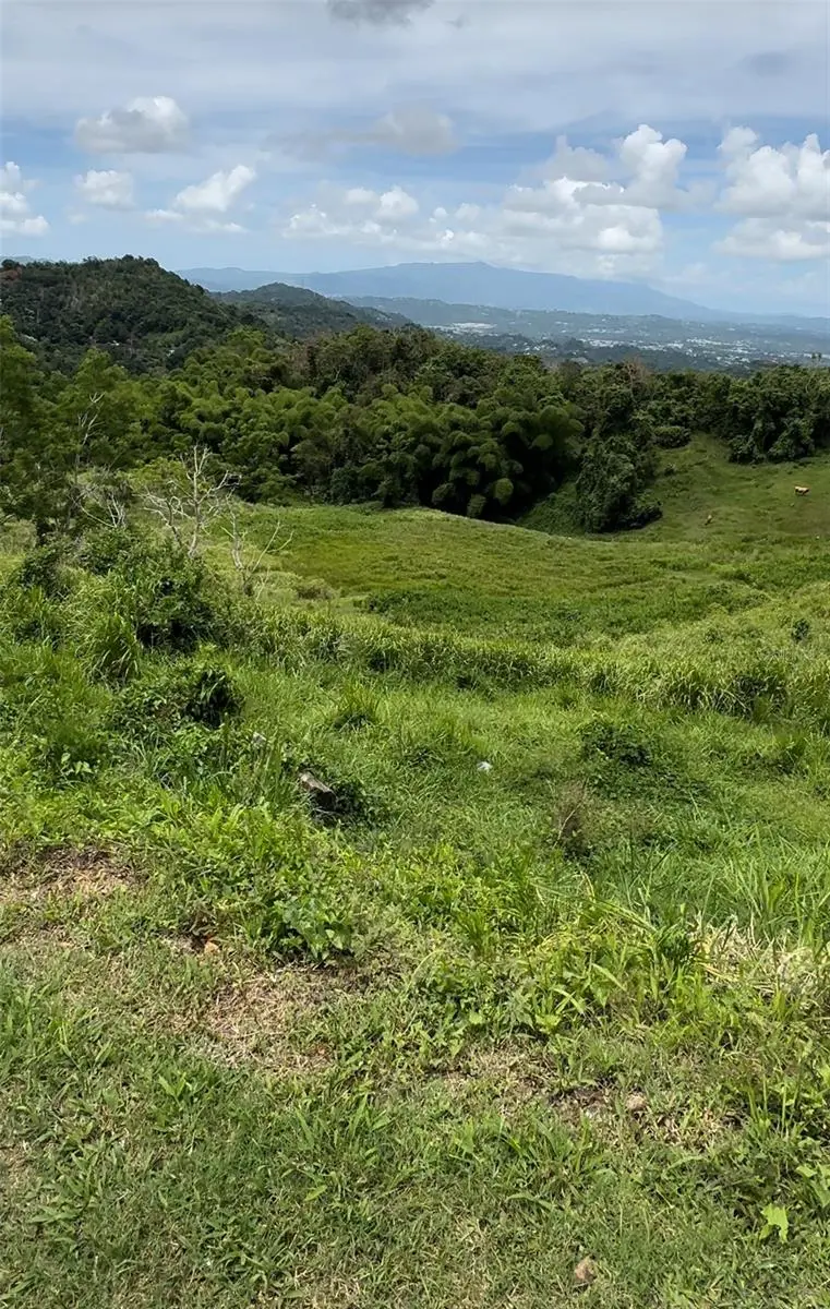 87.29 cuerdas Bo.Quemados CARR 7788 KM HM 2.2, San Lorenzo, PR 00754