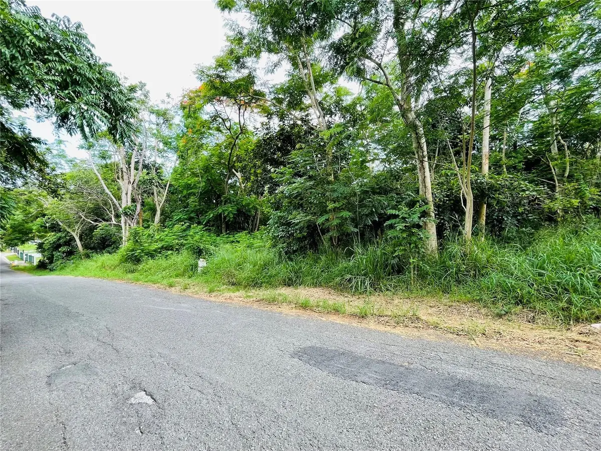 CARR 100 KM 5.2 BO. MIRADERO, Cabo Rojo, PR 00623