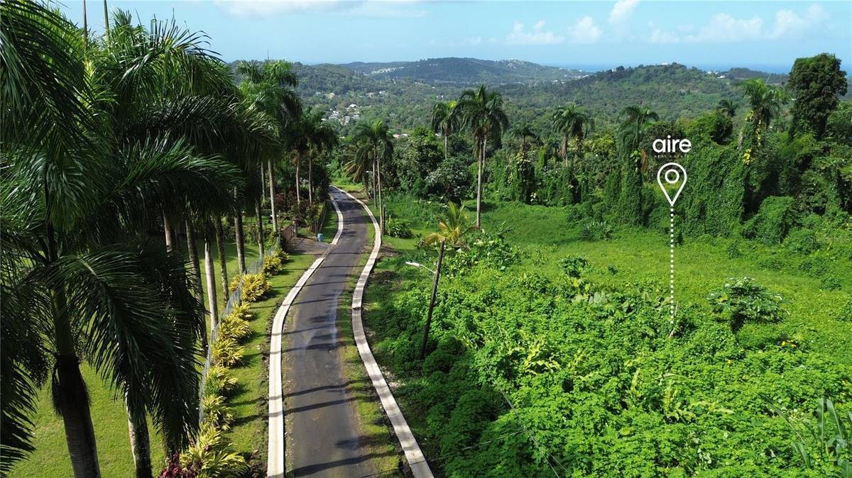 PR-191, Km 2.4 BO. MAMEYES II, Rio Grande, PR 00745