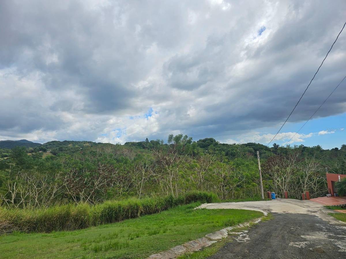 BO. Santana Solar 8 CARR 363 KM.HM 0.9, Sabana Grande, PR 00637