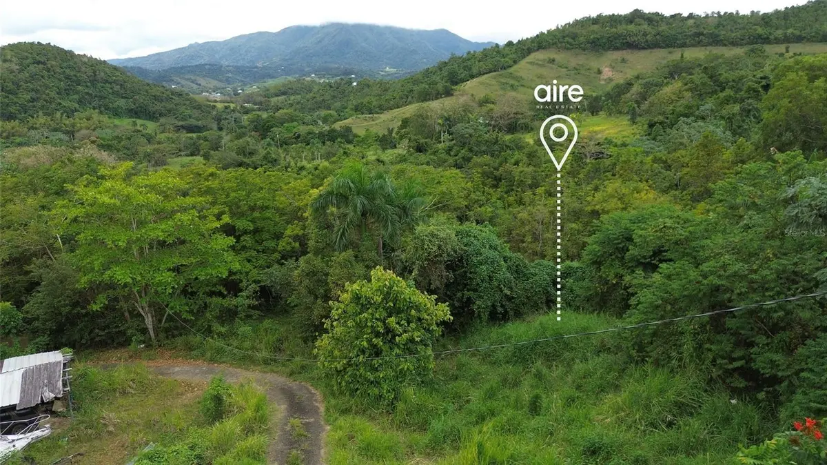 Lot 7 Km 61 PR-3 Int DAGUAO WARD, Ceiba, PR 00735