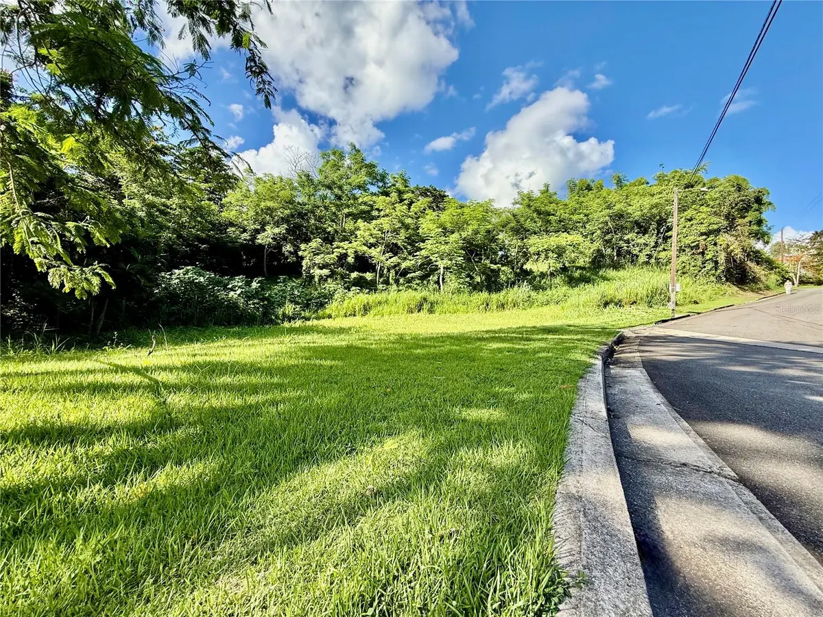 Riverside Gated Community RIVERSIDE STREET, Guaynabo, PR 00971